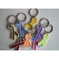 Cancer Awareness Ribbon Key Chains
